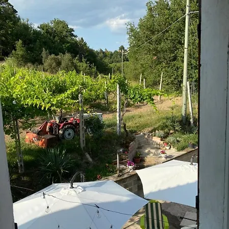 Gli Allori