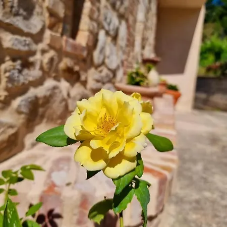 Gli Allori *
