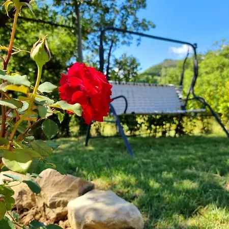 Gli Allori Venarotta