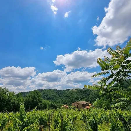 Gli Allori Venarotta