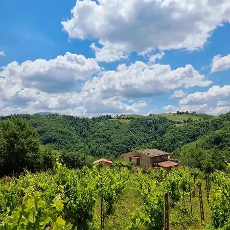 Dom wakacyjny Gli Allori