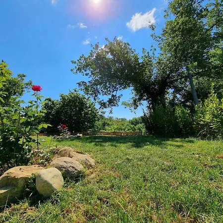 Gli Allori * Venarotta